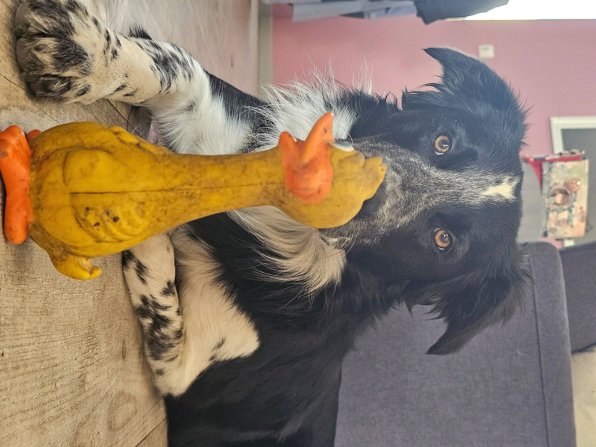 Tyson a rejoint le concours — aidez-le/la à gagner de superbes lots ! art, beak, bird, feather, fur, gesture, organism, painting, tail, textile, visual_arts, wing