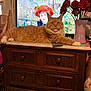 cat, orange_tabby, dresser, vase, red_roses, television, painting, woman, red_hat, curtains, wooden_furniture, remote_control, living_room, fluffy_cat, indoor, relaxed, pet, cozy, decor, art