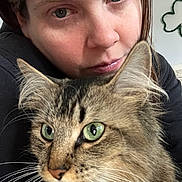 Mittens joined the competition — help win amazing prizes! affection, animal, cat, close_up, comfort, cozy, cuddling, expression, face, fur, green_eyes, head, human, indoor, looking, person, pet, portrait, tabby_cat, whiskers