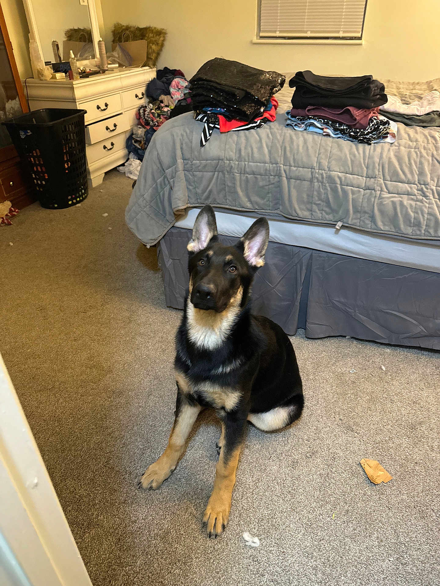Bruno