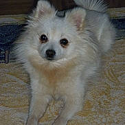 Heidi participe au concours pour gagner de l'argent avec cette photo :