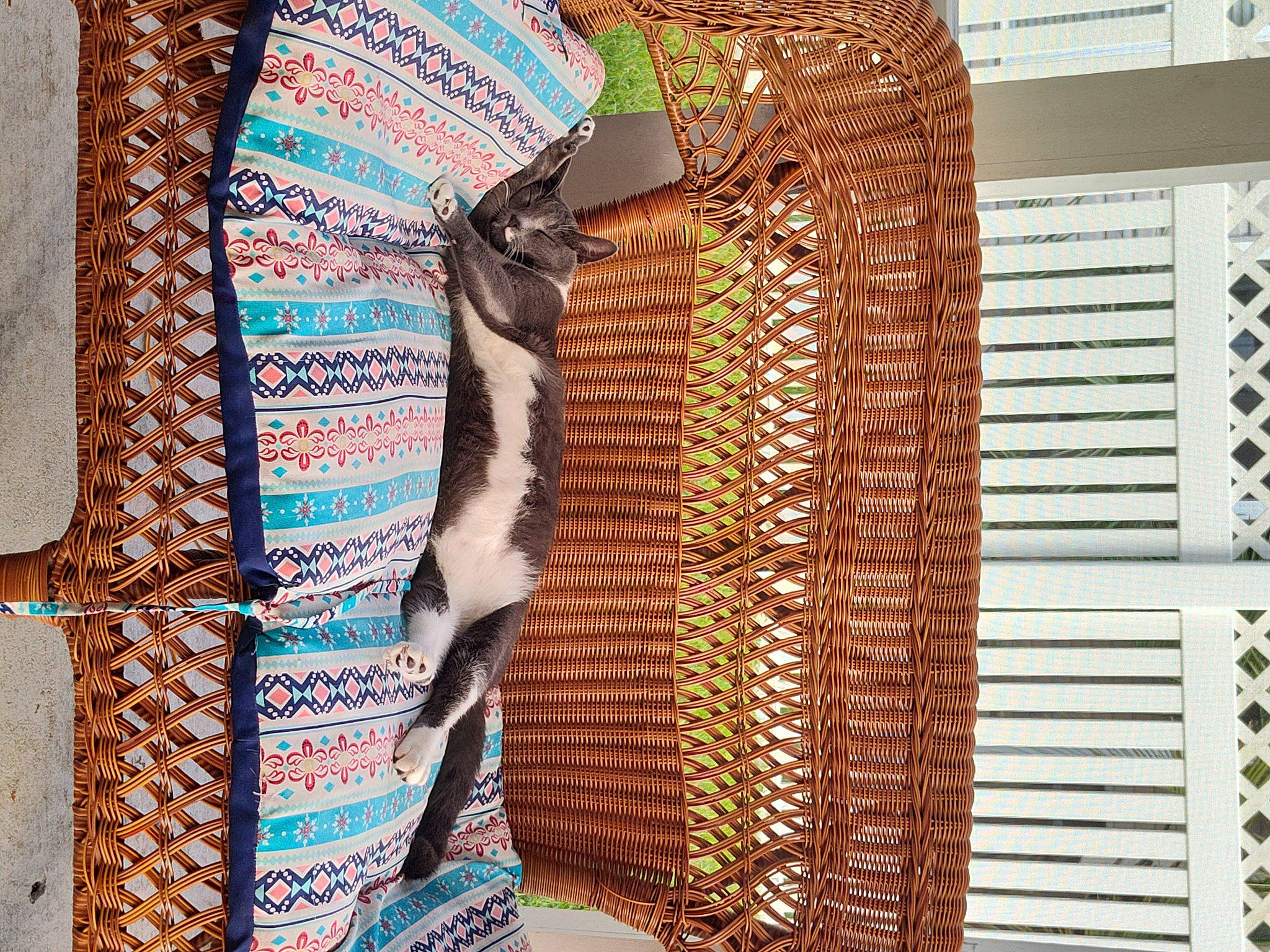 Pouncer is registered to the contest to win money with this photo: art, collar, denim, dress_shirt, electric_blue, fashion_accessory, fashion_design, font, formal_wear, linens, pattern, peach, room, shawl, sleeve, stole, tie, visual_arts, wood, woven_fabric