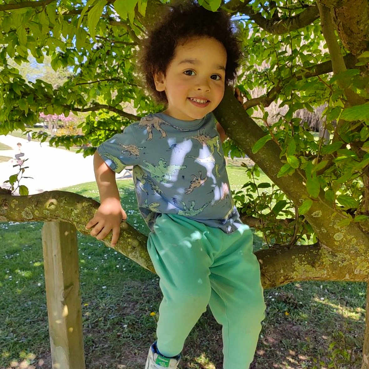 Ayden participe au concours pour gagner de l'argent avec cette photo : branch, casual_clothing, child, curly_hair, daylight, dinosaur_shirt, grass, green_leaves, happy, nature, outdoor, pants, park, person, playful, smiling, sneakers, sunlight, tree, young_child
