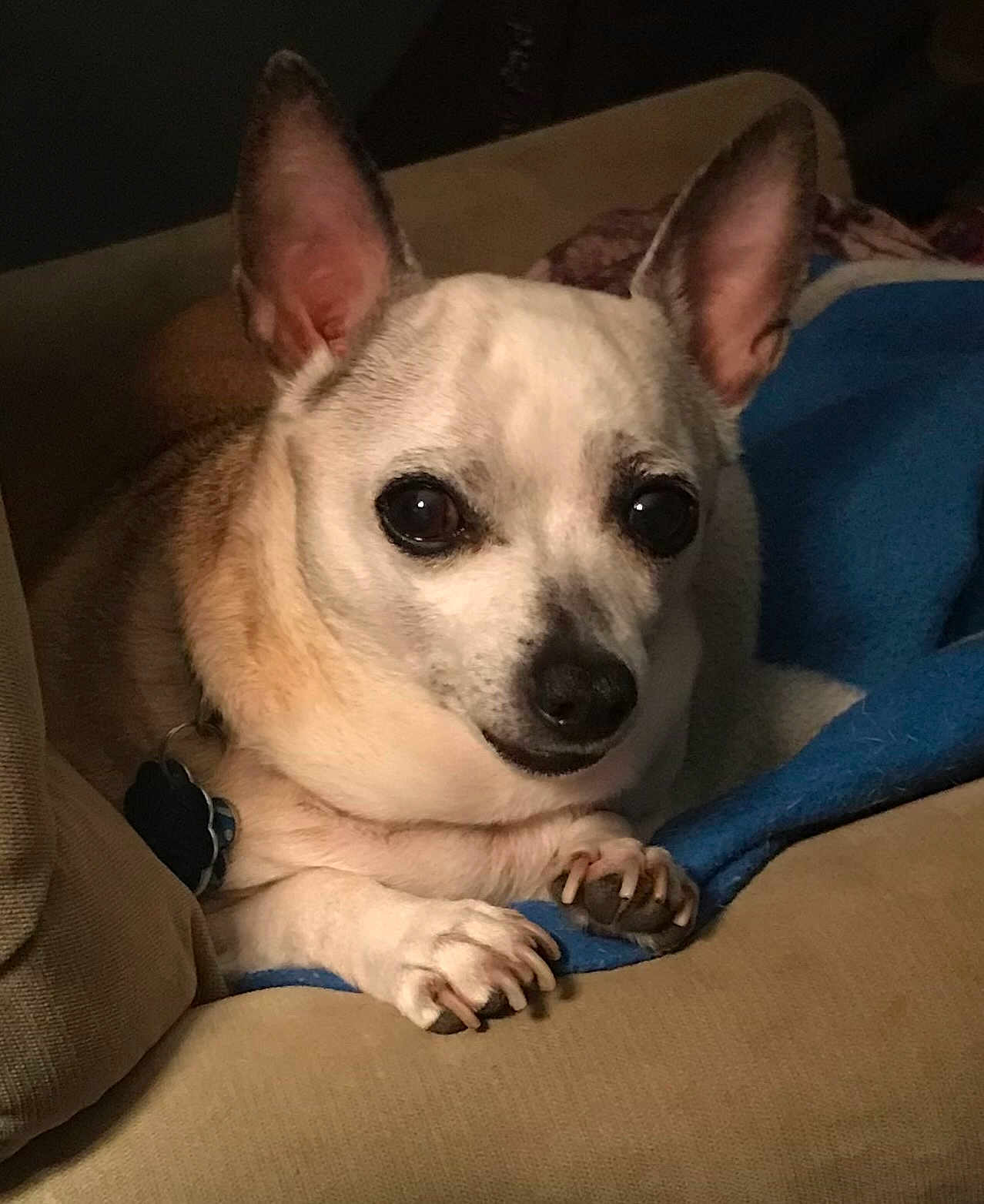Diego