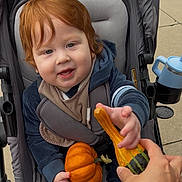 Ezra is registered to the contest to win money with this photo: toddler, child, stroller, pumpkin, gourd, hand, reaching, outdoor, pavement, clothing, red_hair, baby, seatbelt, smile, face, person, hoodie, sippy_cup, gray, blue
