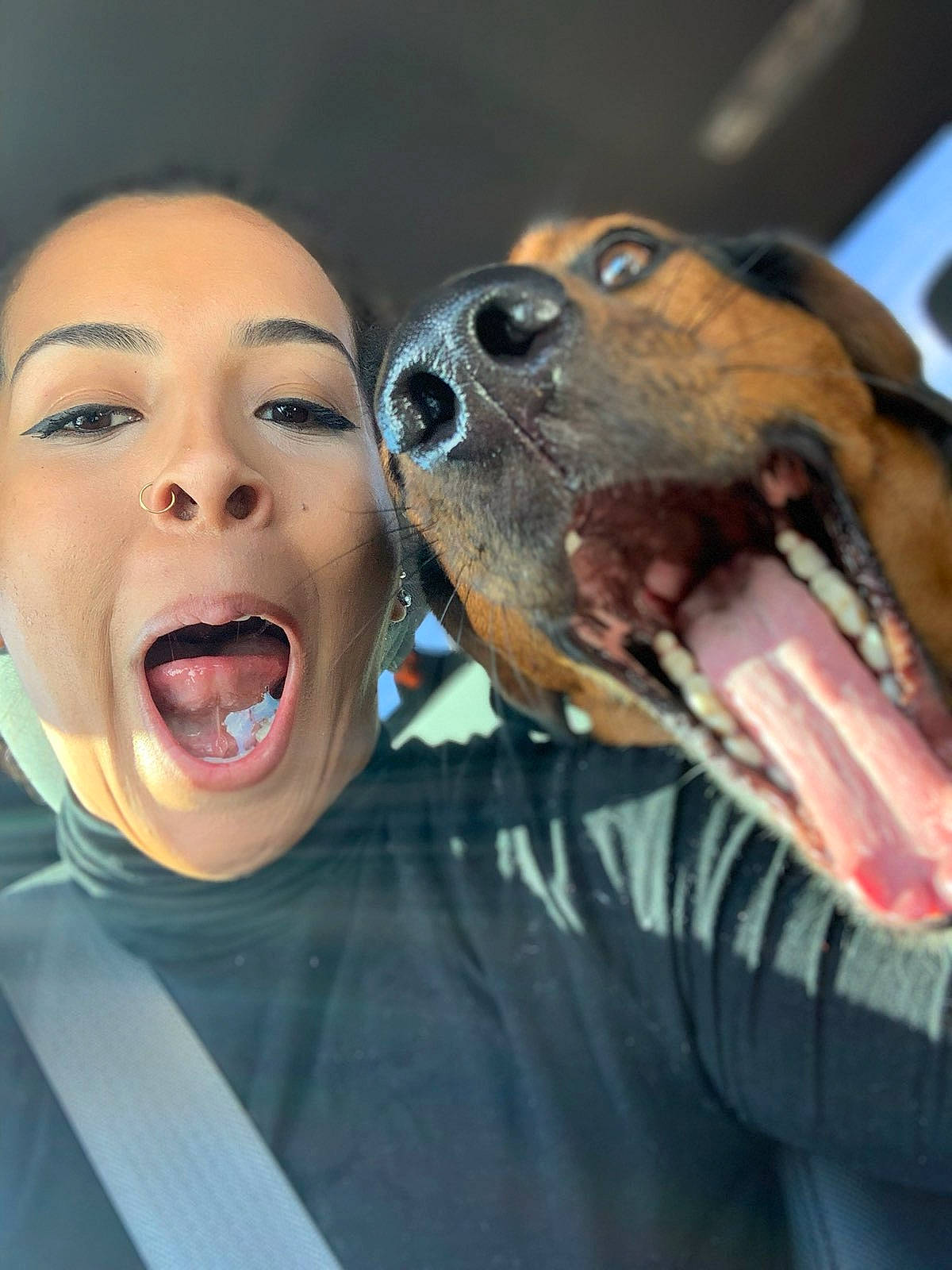 Seppi Autum is registered to the contest to win money with this photo: accipitridae, accipitriformes, adaptation, animal_training, bird, carnivore, falconiformes, flesh, humour, jaw, shout, snout, throat, tongue, tooth, vertebrate, walrus, wildlife_biologist