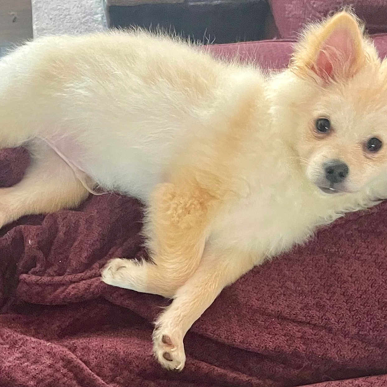 Sam