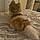 Charlie