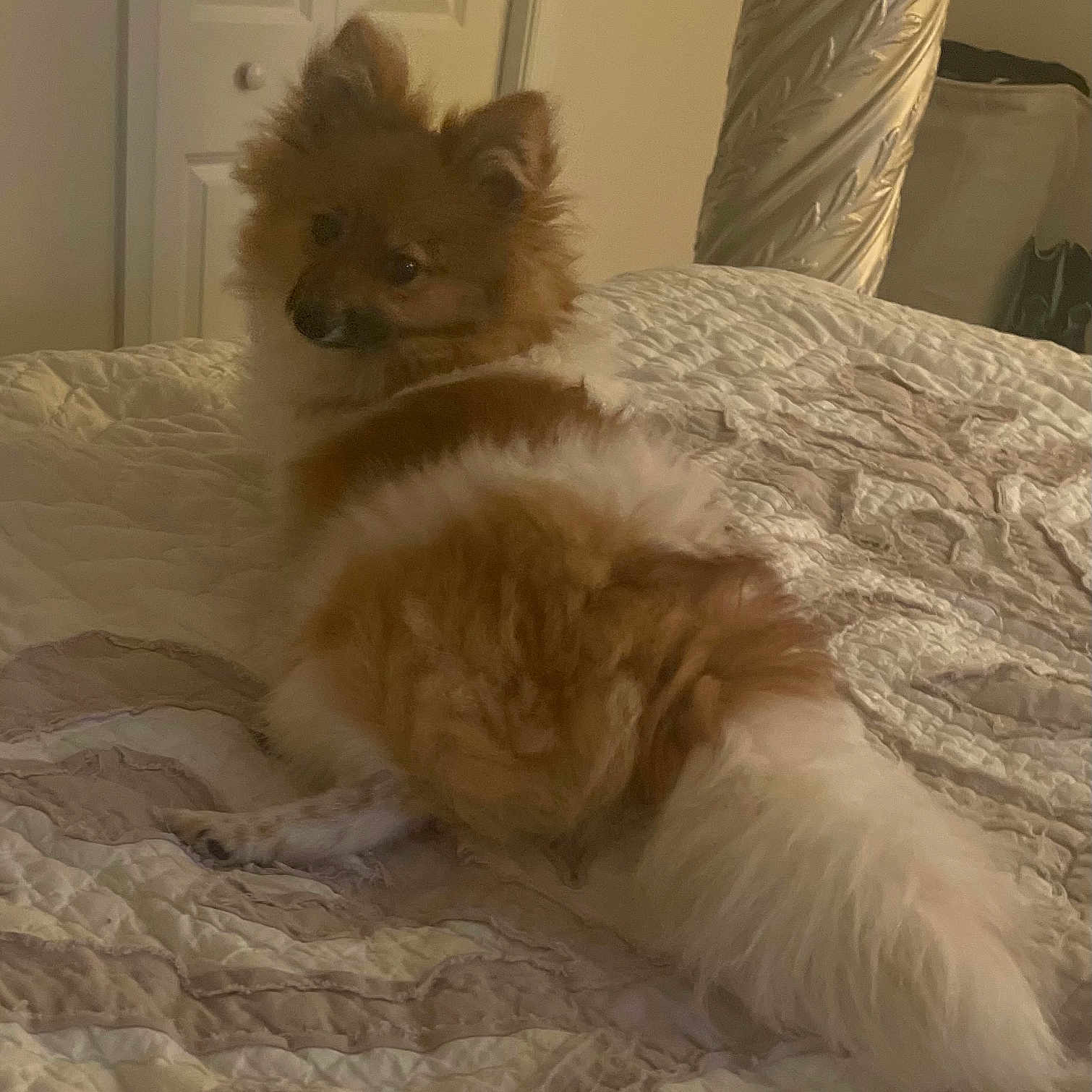 Charlie