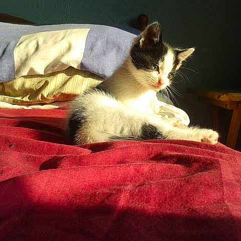 Pebbles is registered to the contest to win money with this photo: