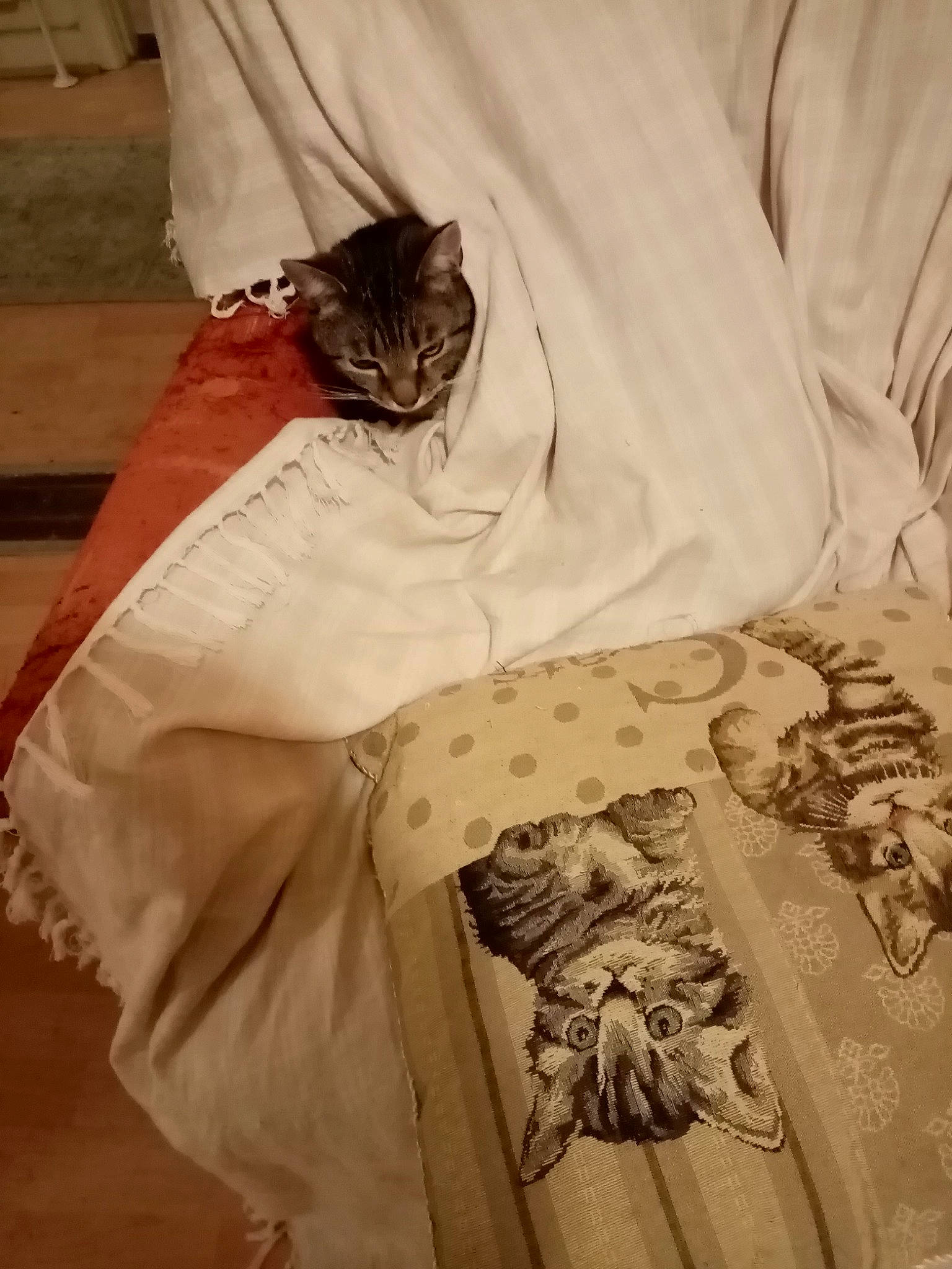 Simba joined the competition — help win amazing prizes! bed, bed_sheet, bedding, bedroom, cat, comfort, eyewear, facial_hair, fashion_design, felidae, linens, mammal, pattern, sleeve, small_to_medium_sized_cats, sunglasses, t_shirt, textile, whiskers, white