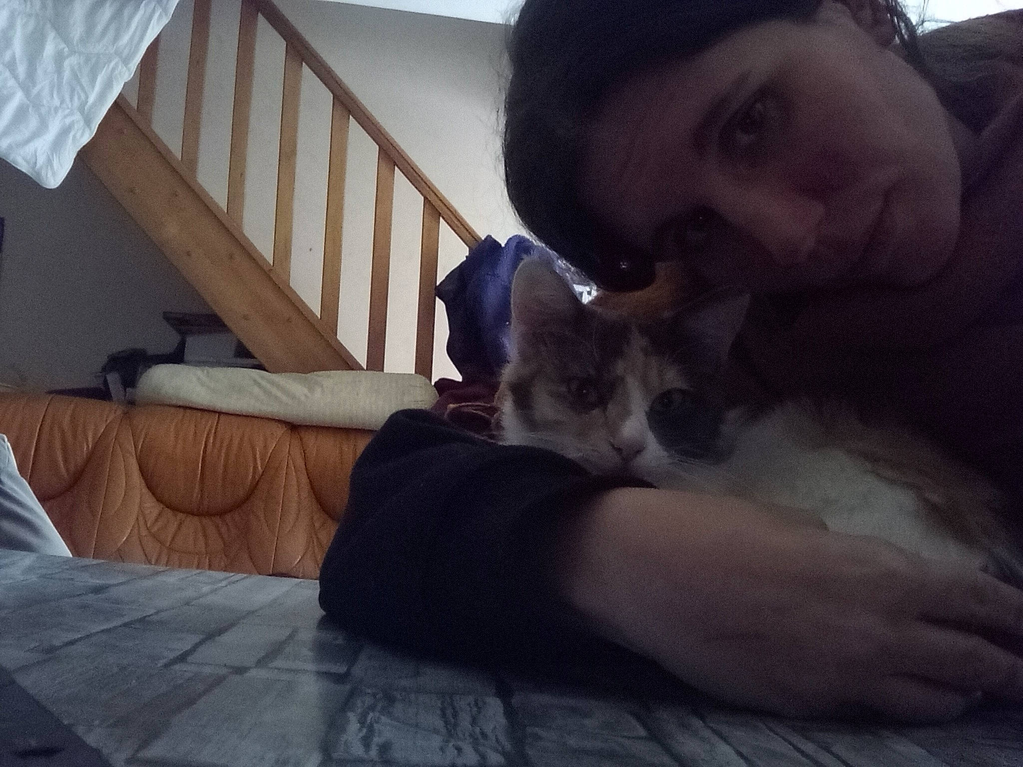 Nadia a rejoint le concours — aidez-le/la à gagner de superbes lots ! beard, carnivore, cat, comfort, companion_dog, facial_hair, fawn, felidae, fur, happy, hardwood, human_leg, jaw, lap, mammal, small_to_medium_sized_cats, textile, thigh, whiskers, wood