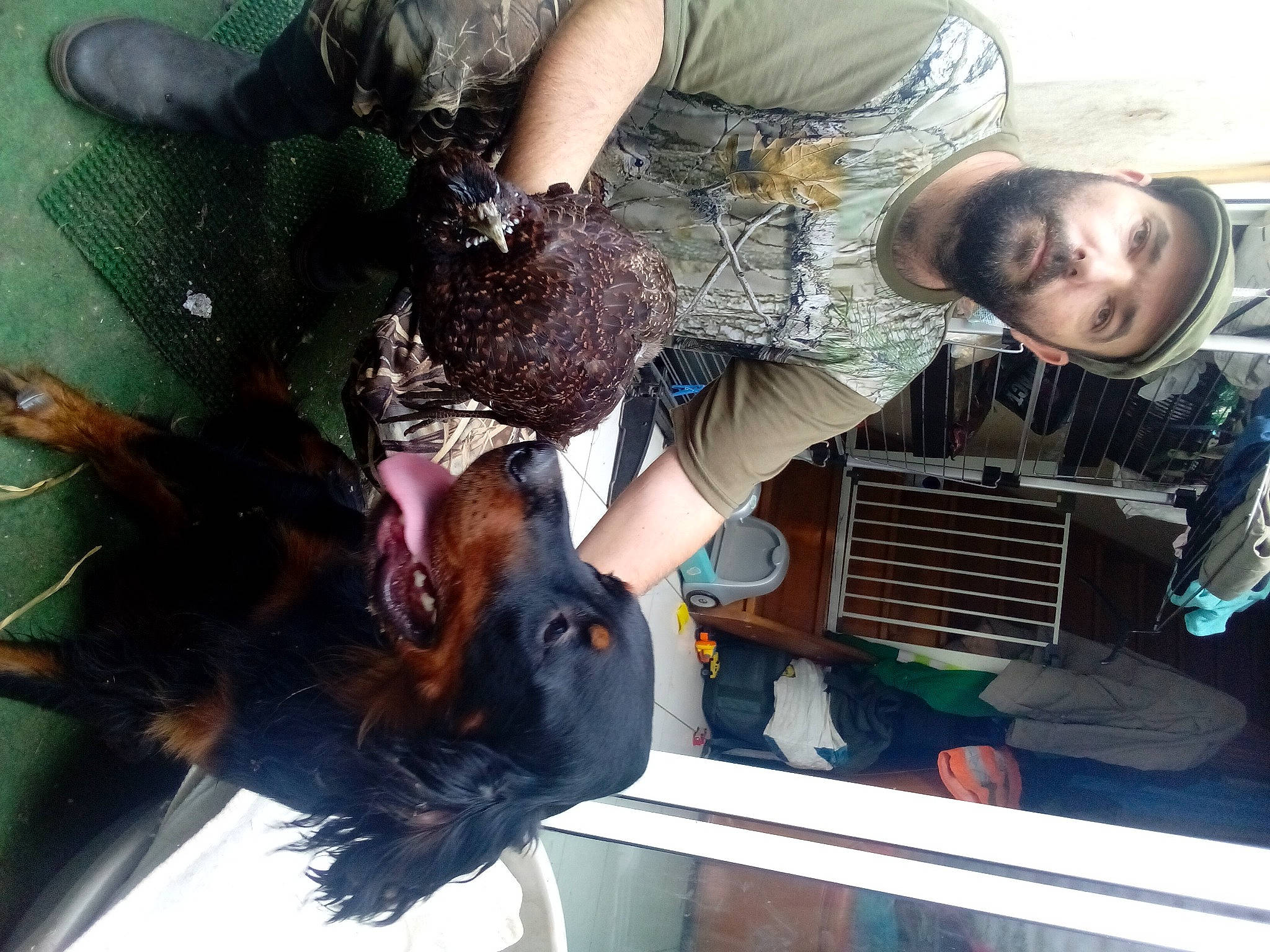 Titeuf a rejoint le concours — aidez-le/la à gagner de superbes lots ! eyewear, fun, fur, leisure, organism, tree, vertebrate