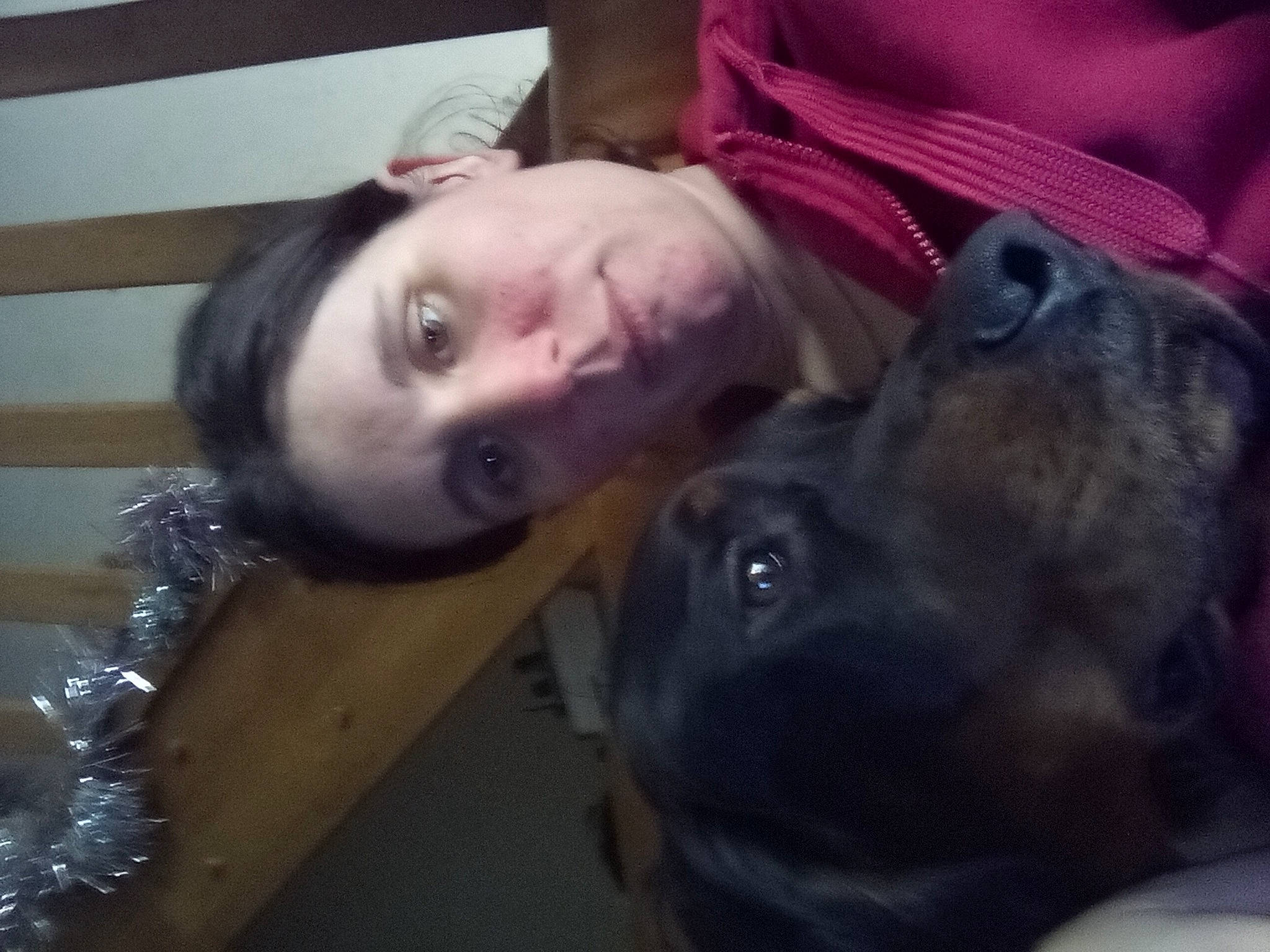 Titeuf participe au concours pour gagner de l'argent avec cette photo : carnivore, comfort, companion_dog, dog, dog_breed, fun, fur, guard_dog, happy, jaw, liver, mammal, natural_material, selfie, throat, vertebrate, working_animal