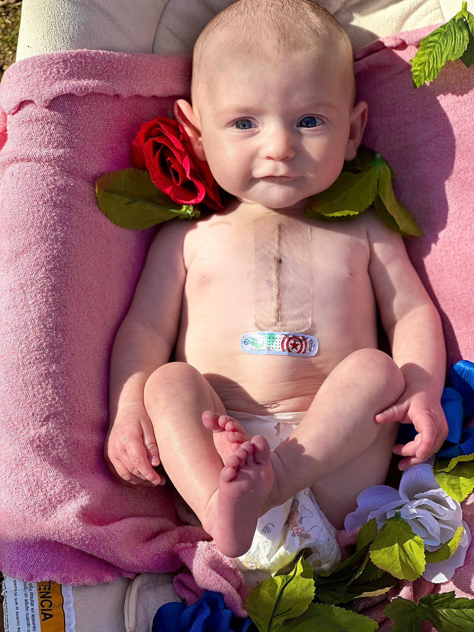 Evee joined the competition — help win amazing prizes! arm, baby, baby_toddler_clothing, beauty, cheek, child, face, finger, grass, green, happy, muscle, person, photograph, pink, product, skin, stomach, textile, toddler