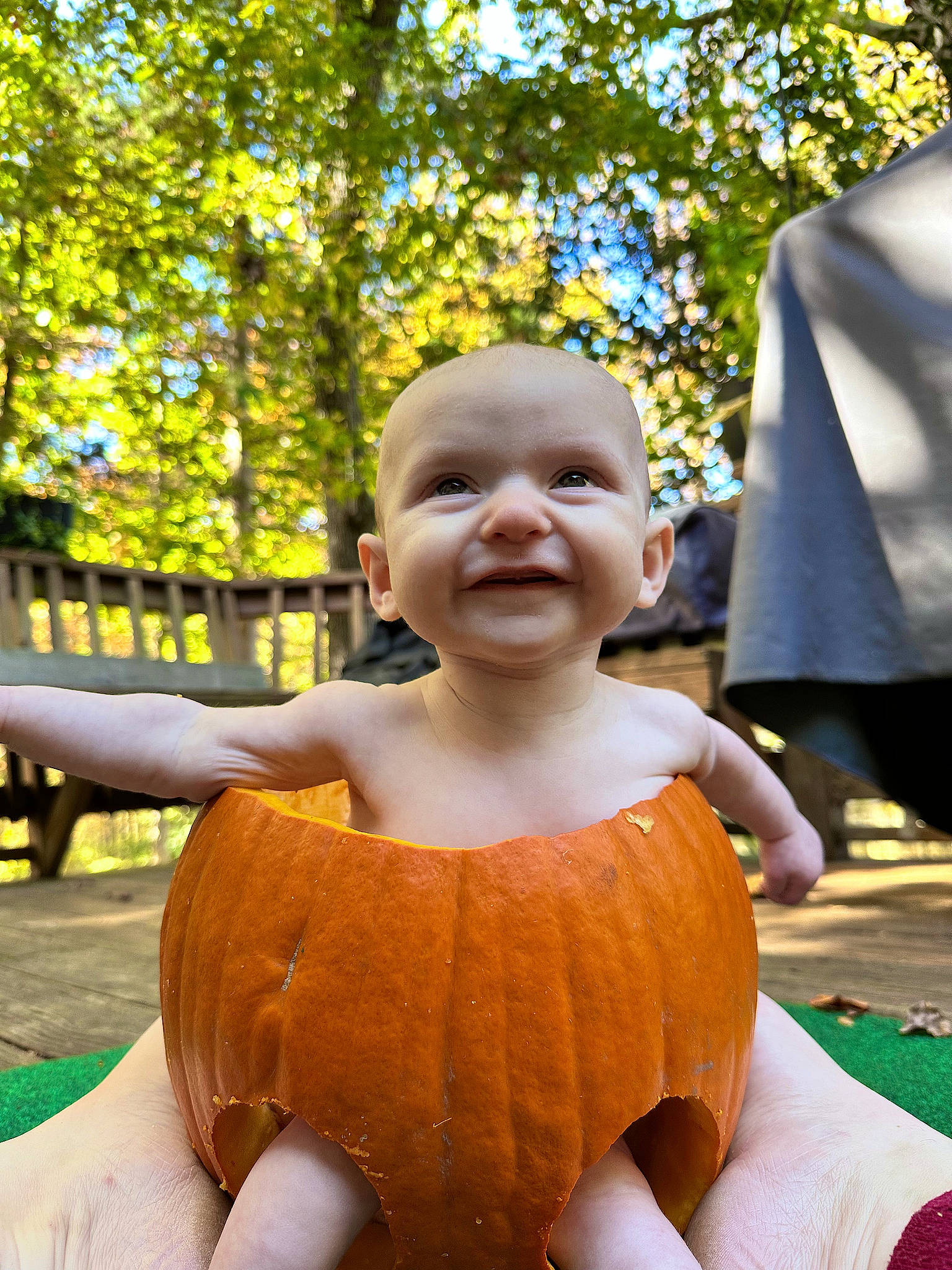 Evee is registered to the contest to win money with this photo: baby, beauty, botany, child, facial_expression, fun, gesture, grass, hairstyle, happy, joy, leaf, leisure, people_in_nature, person, plant, recreation, smile, standing, toddler
