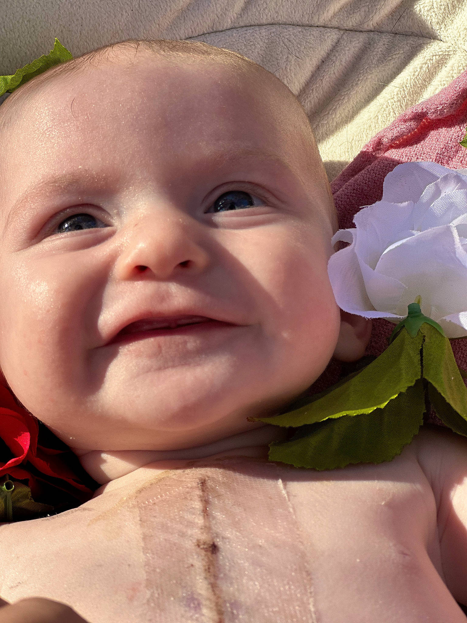 Evee joined the competition — help win amazing prizes! baby, cheek, chin, eye, eyebrow, eyelash, face, forehead, hairstyle, happy, head, iris, lip, mouth, nose, person, petal, pink, plant, skin