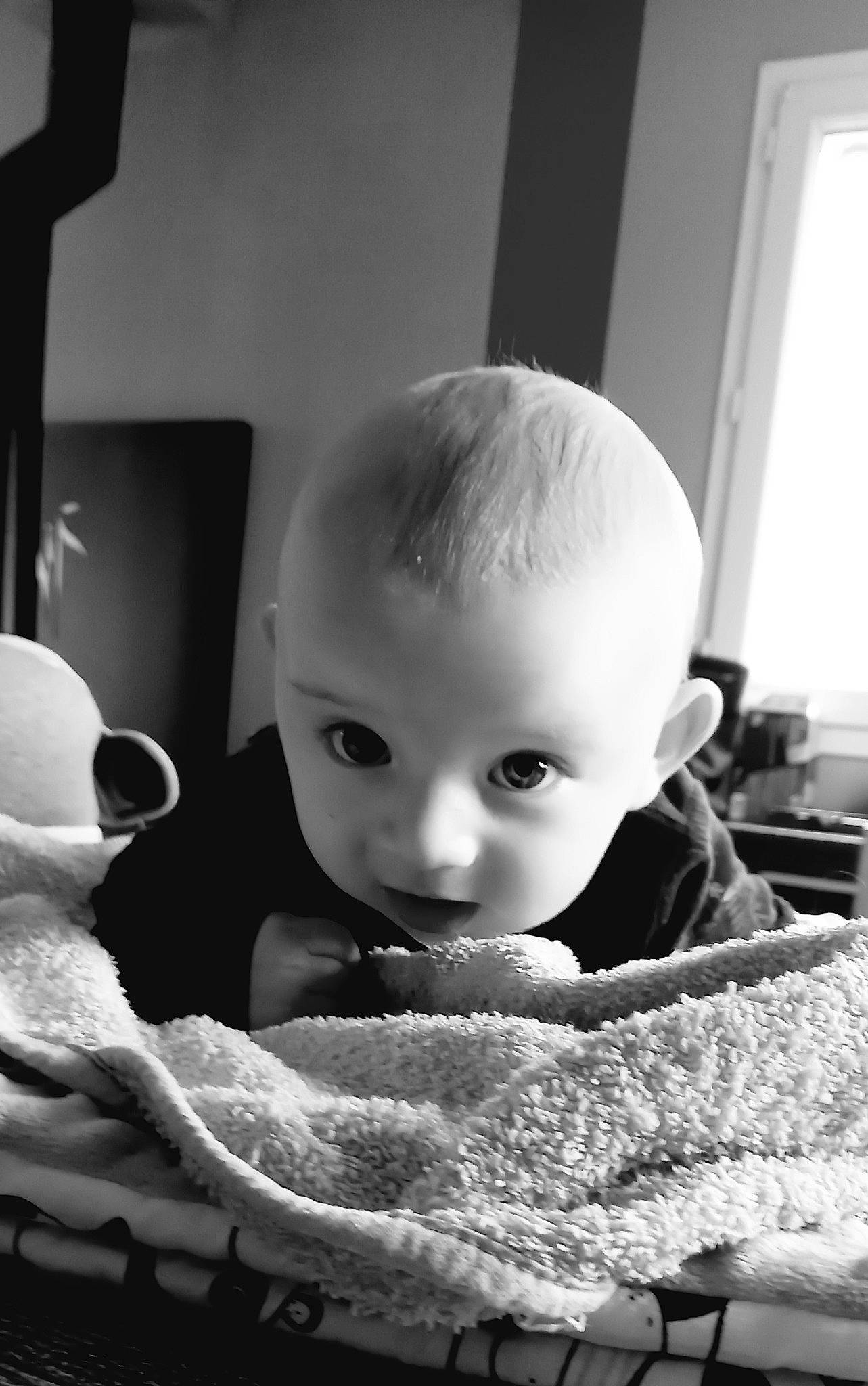 Thomas participe au concours pour gagner de l'argent avec cette photo : baby, baby_products, black_and_white, cheek, child, eye, flash_photography, fun, fur, happy, iris, monochrome, monochrome_photography, person, room, sitting, still_life_photography, stock_photography, style, toddler