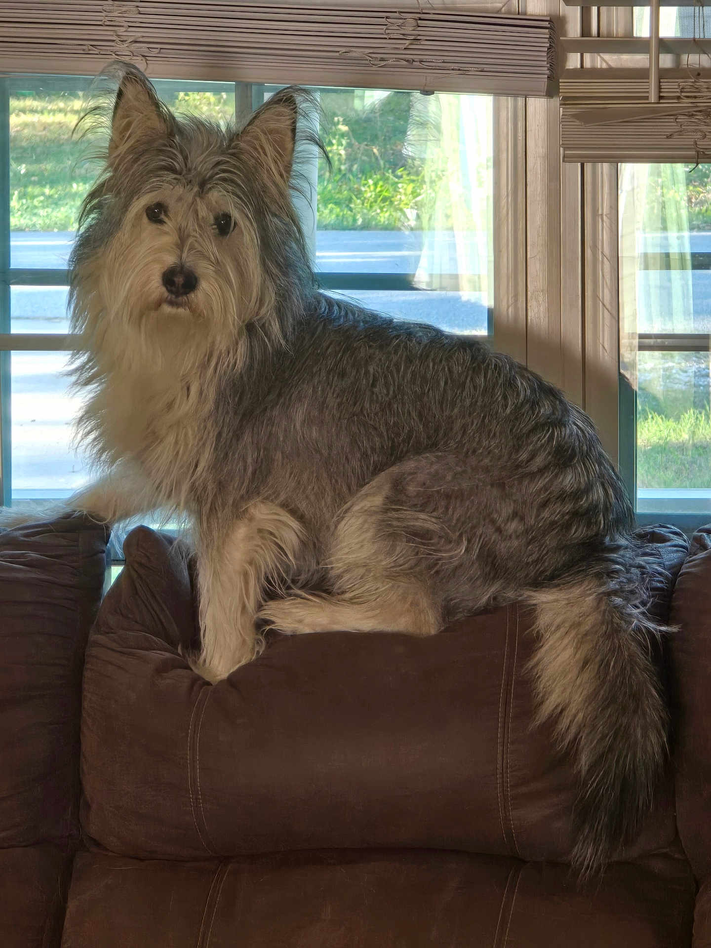 Benny