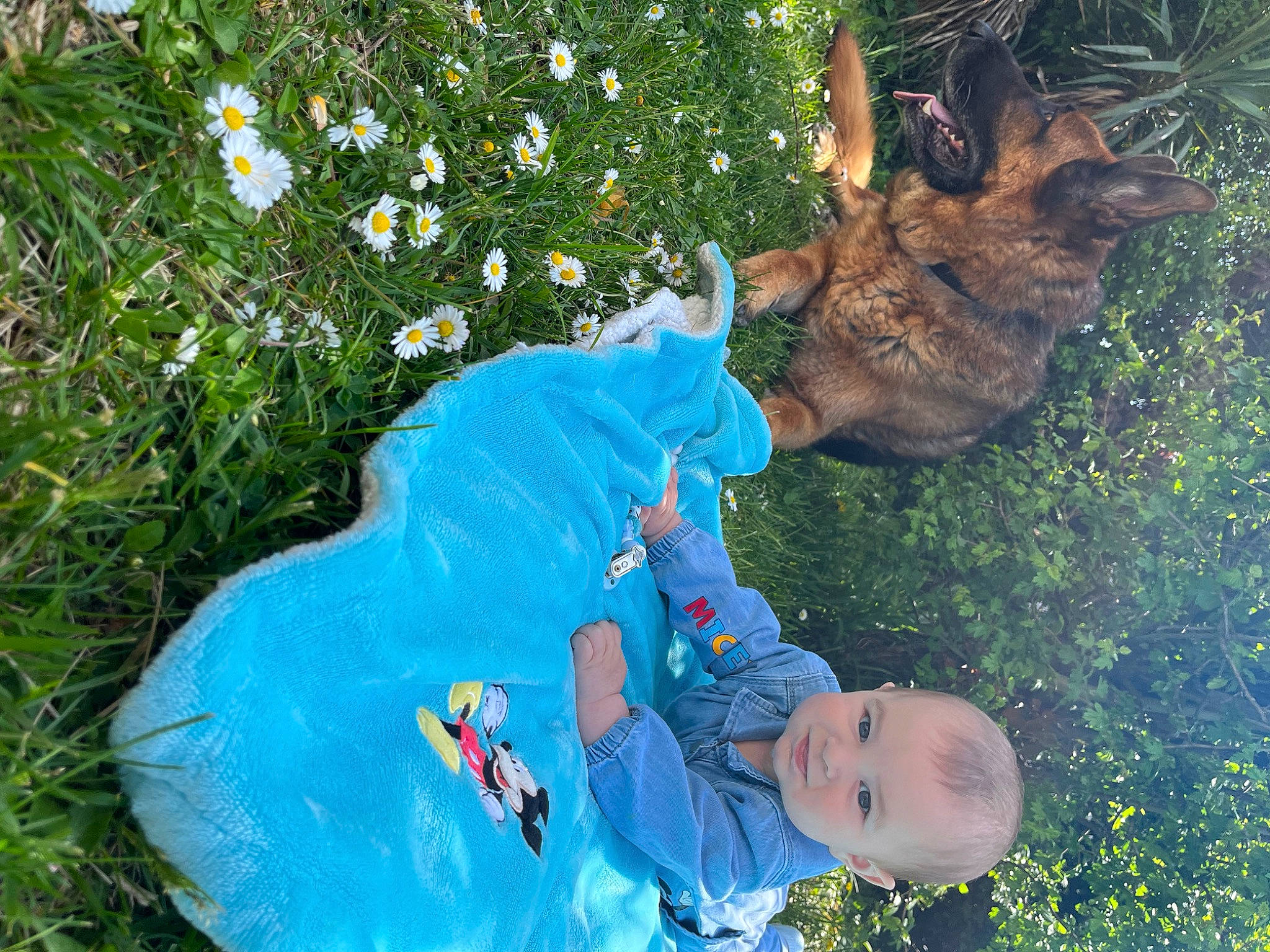 Giani a rejoint le concours — aidez-le/la à gagner de superbes lots ! baby, carnivore, child, dog_breed, electric_blue, fun, fur, grass, green, happy, leaf, leisure, mammal, people_in_nature, person, photograph, plant, spring, toddler, tree
