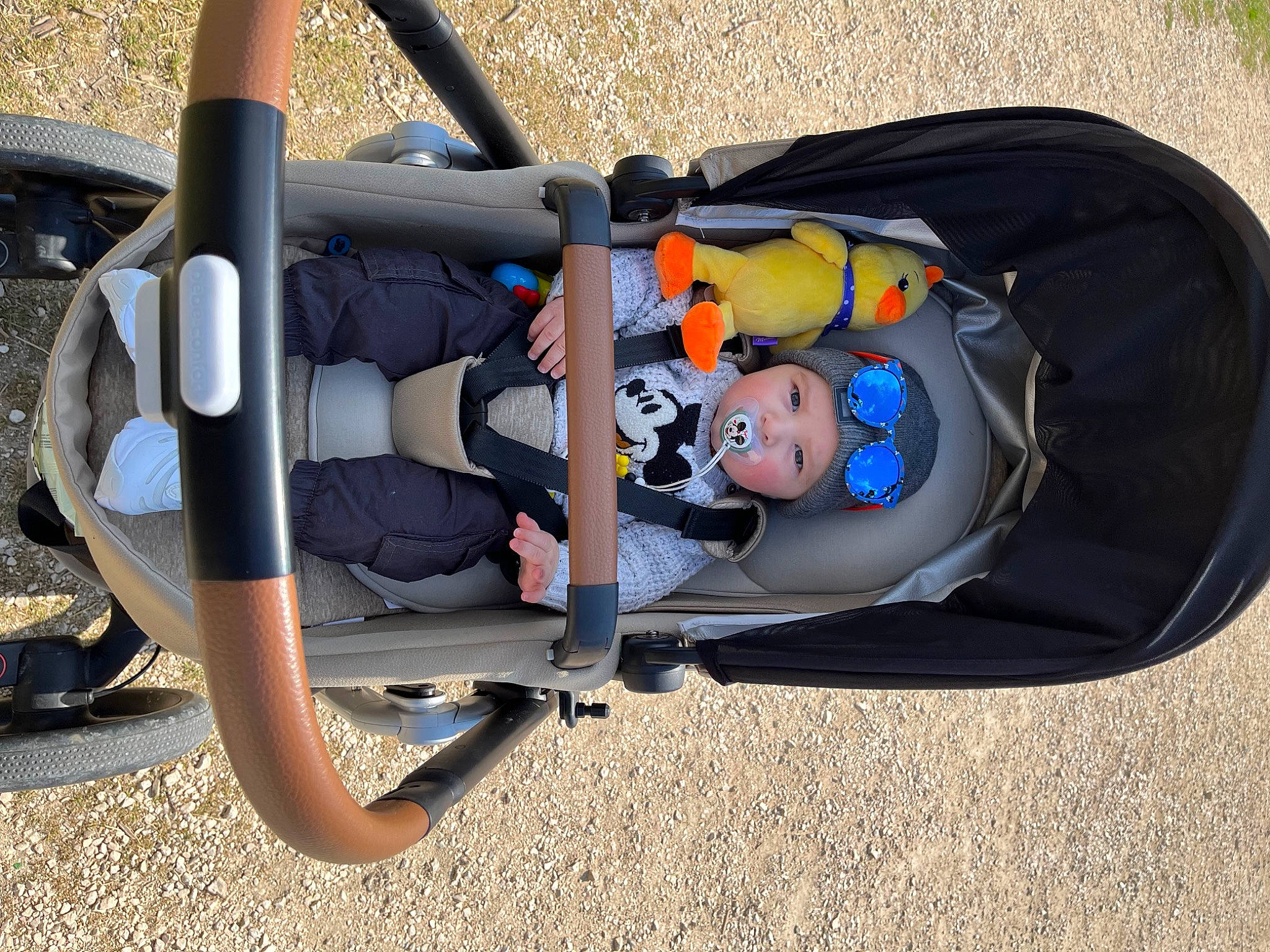 Giani participe au concours pour gagner de l'argent avec cette photo : auto_part, baby, baby_carriage, baby_products, baby_toddler_clothing, car_seat, child, comfort, electric_blue, fun, grass, headwear, leisure, person, personal_protective_equipment, product, recreation, sitting, tire, toddler