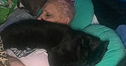 Pax is registered to the contest to win money with this photo: animal, bedroom, black_dog, blanket, bracelet, comfort, couch, dog, hair, hand, home, indoor, leopard_print, person, pet, pillow, pink_hair, relaxation, resting, sleeping