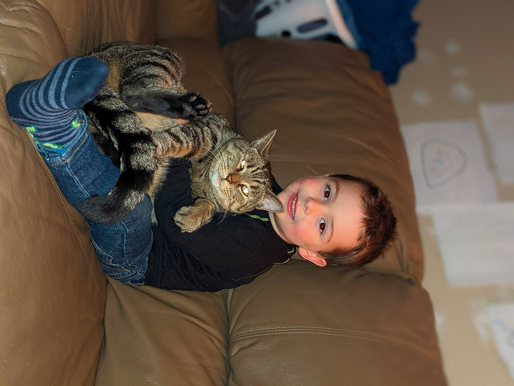 Félix a rejoint le concours — aidez-le/la à gagner de superbes lots ! bed, bird_of_prey, canidae, carnivore, claw, comfort, companion_dog, couch, denim, domestic_short_haired_cat, felidae, fur, joy, person, room, sitting, skin, small_to_medium_sized_cats, sporting_group, toddler