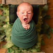 Mylo joined the competition — help win amazing prizes! baby, newborn, swaddle, yawn, sleepy, green, wooden_bed, blanket, infant, portrait, cute, cozy, hands, face, head, soft, nature, indoor, child, resting