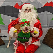 Elvis is registered to the contest to win money with this photo: christmas, christmas_eve, event, fictional_character, holiday, lap, santa_claus