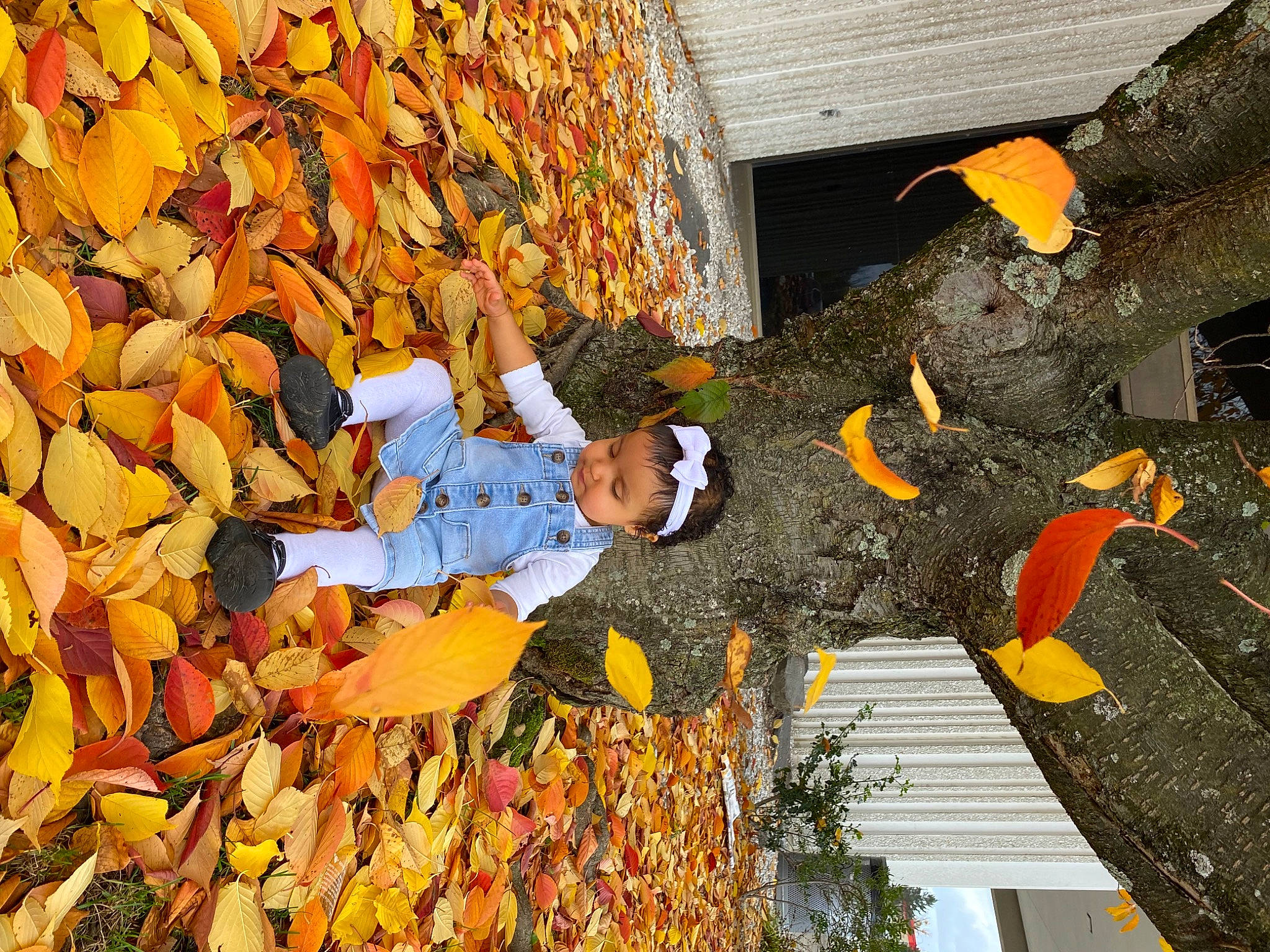 Sara joined the competition — help win amazing prizes! asphalt, autumn, deciduous, fish, fun, glove, grass, hat, leisure, orange, people_in_nature, person, plant, toddler, tree, wood, woody_plant