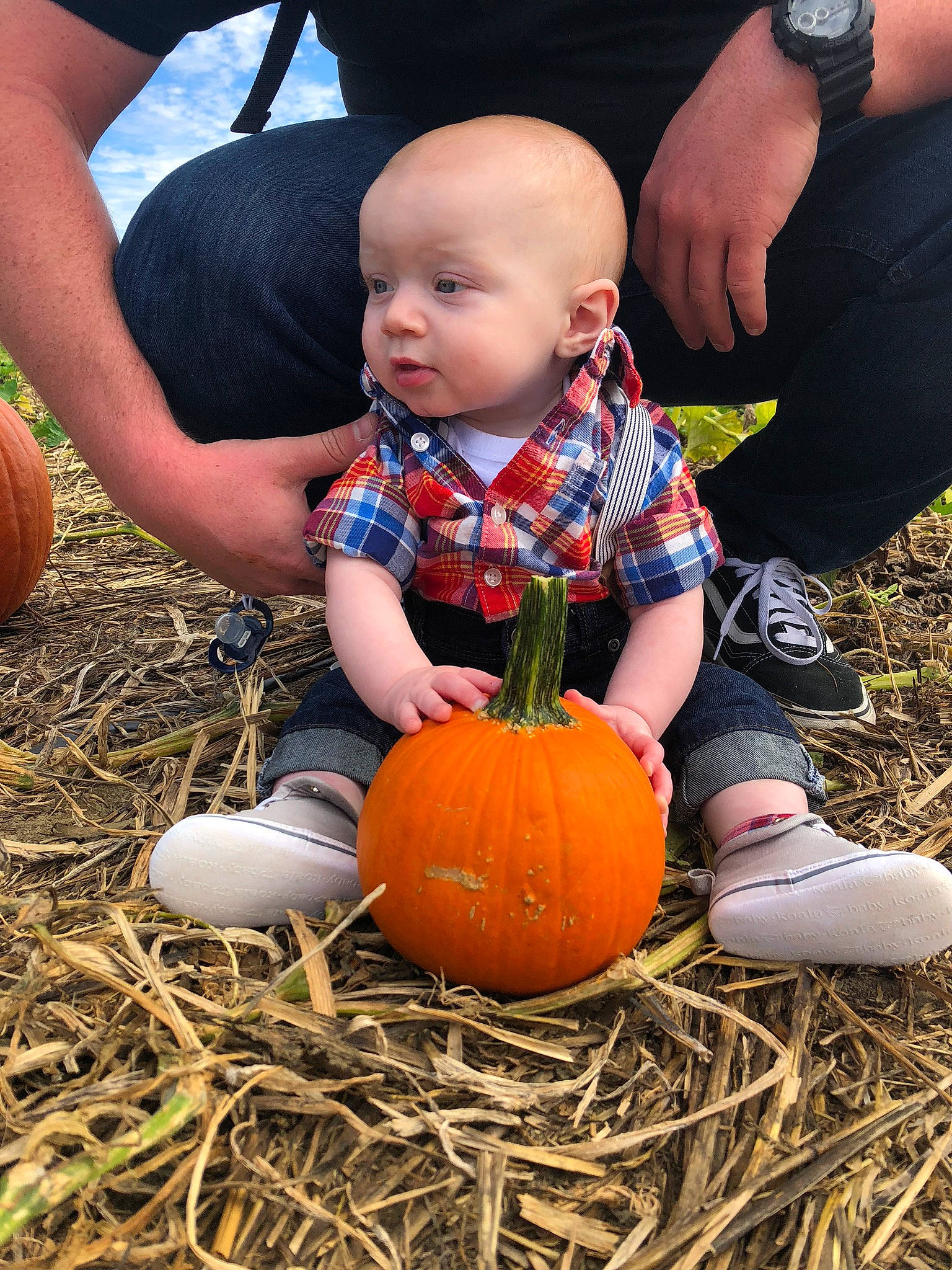 Brady is registered to the contest to win money with this photo: _and_melon_family, _gourd, calabaza, child, cucumber, cucurbita, food, fruit, gourd, grass, hay, local_food, person, plant, pumpkin, squash, toddler, vegetable, winter_squash