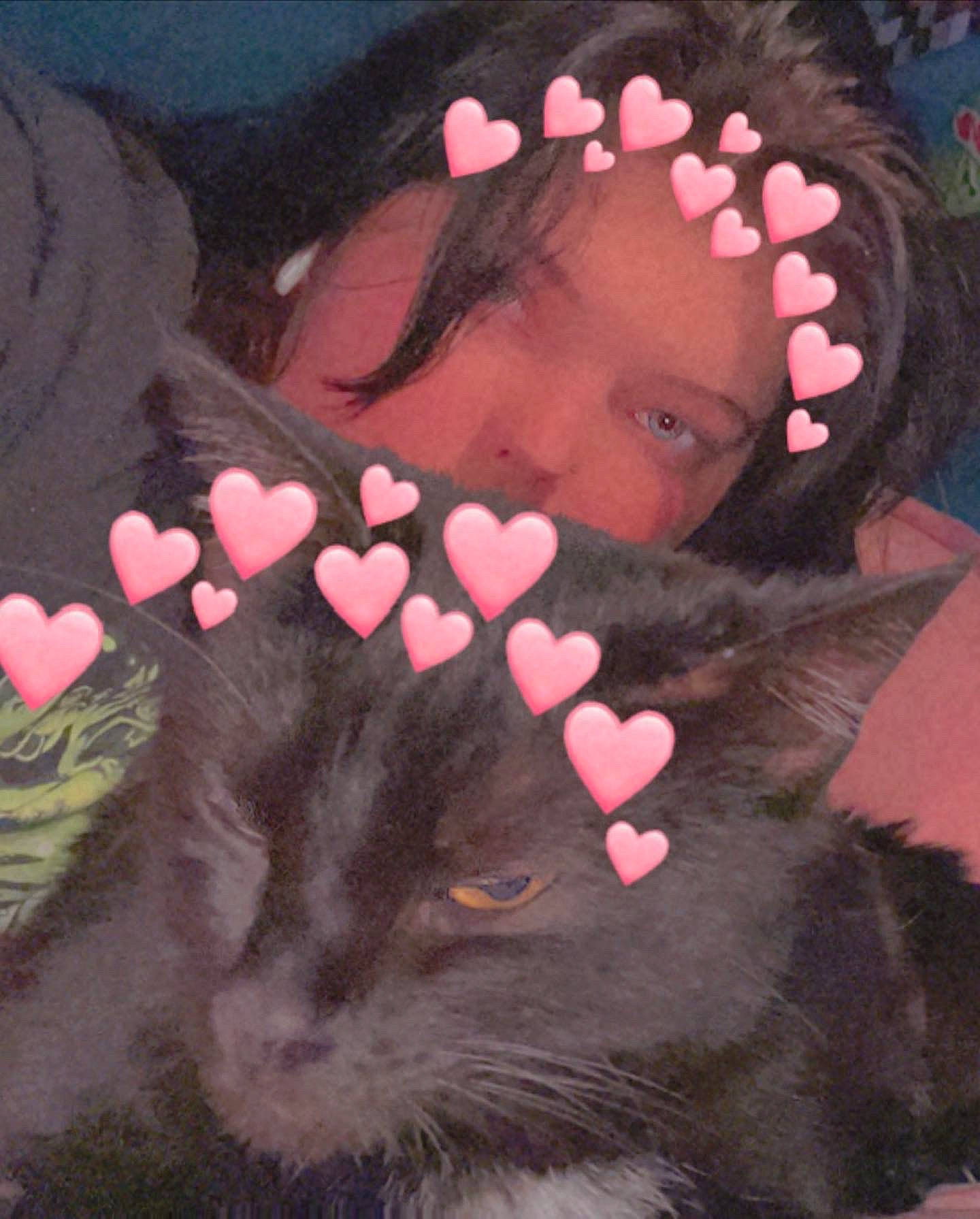 Armoni is registered to the contest to win money with this photo: black, black_hair, fawn, felidae, finger, foot, gesture, happy, human_body, lip, magenta, mammal, mouth, nail, organism, petal, pink, snout, thumb, whiskers