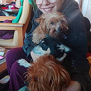 Loky a rejoint le concours — aidez-le/la à gagner de superbes lots ! woman, person, dog, dogs, three_dogs, pet, pets, animal, animal_portrait, smiling, glasses, indoor, home, sitting, hugging, black_and_white_dog, brown_dog, scruffy_dog, long_hair, cluttered_background