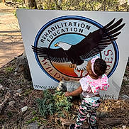 Nevaeh joined the competition — help win amazing prizes! backpack, bear_statue, butterfly, camo_pants, child, curious, daytime, exploring, grass, headband, nature, outdoor, pink, rocks, shoes, sign, sunlight, toddler, trees, wildlife