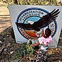 backpack, bear_statue, butterfly, camo_pants, child, curious, daytime, exploring, grass, headband, nature, outdoor, pink, rocks, shoes, sign, sunlight, toddler, trees, wildlife