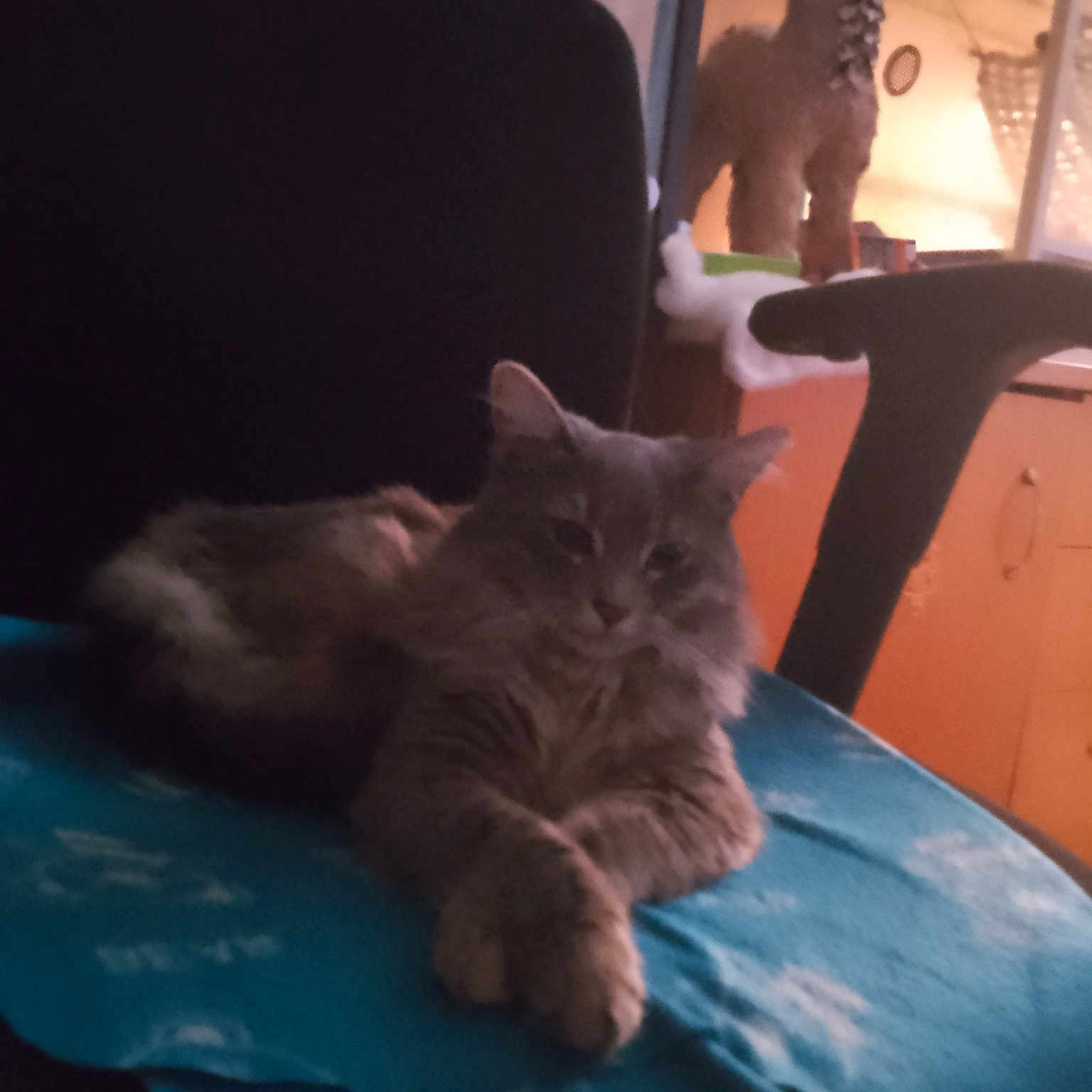 Nala