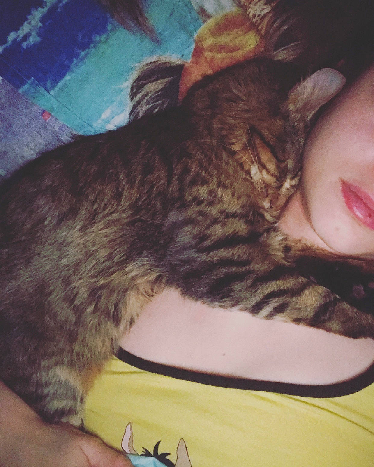 Simba a rejoint le concours — aidez-le/la à gagner de superbes lots ! carnivore, cat, comfort, domestic_short_haired_cat, eyelash, felidae, flesh, fur, human, nail, nap, skin, sleep, small_to_medium_sized_cats, whiskers