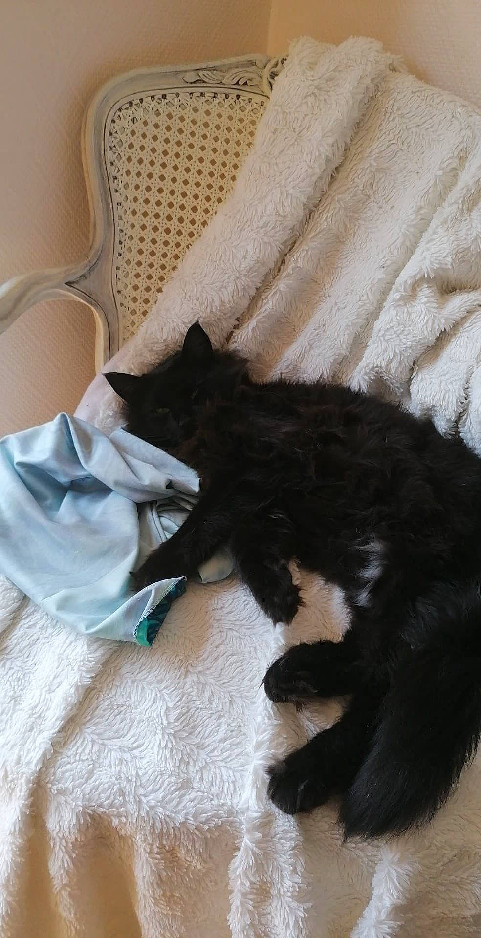 Plume participe au concours pour gagner de l'argent avec cette photo :