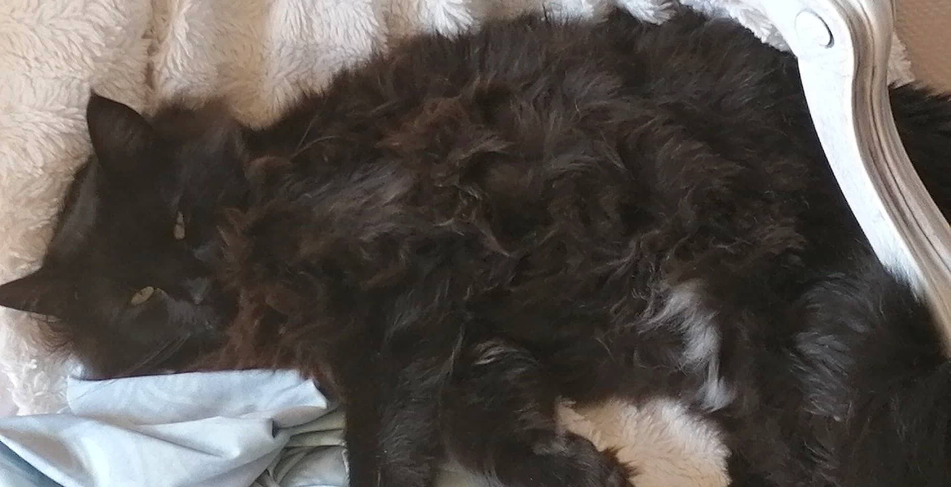 Plume participe au concours pour gagner de l'argent avec cette photo :