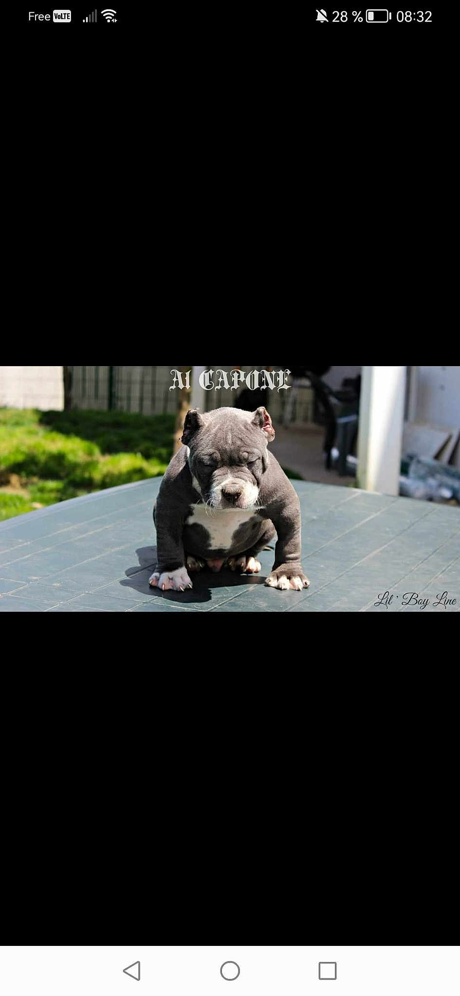 Al Capone