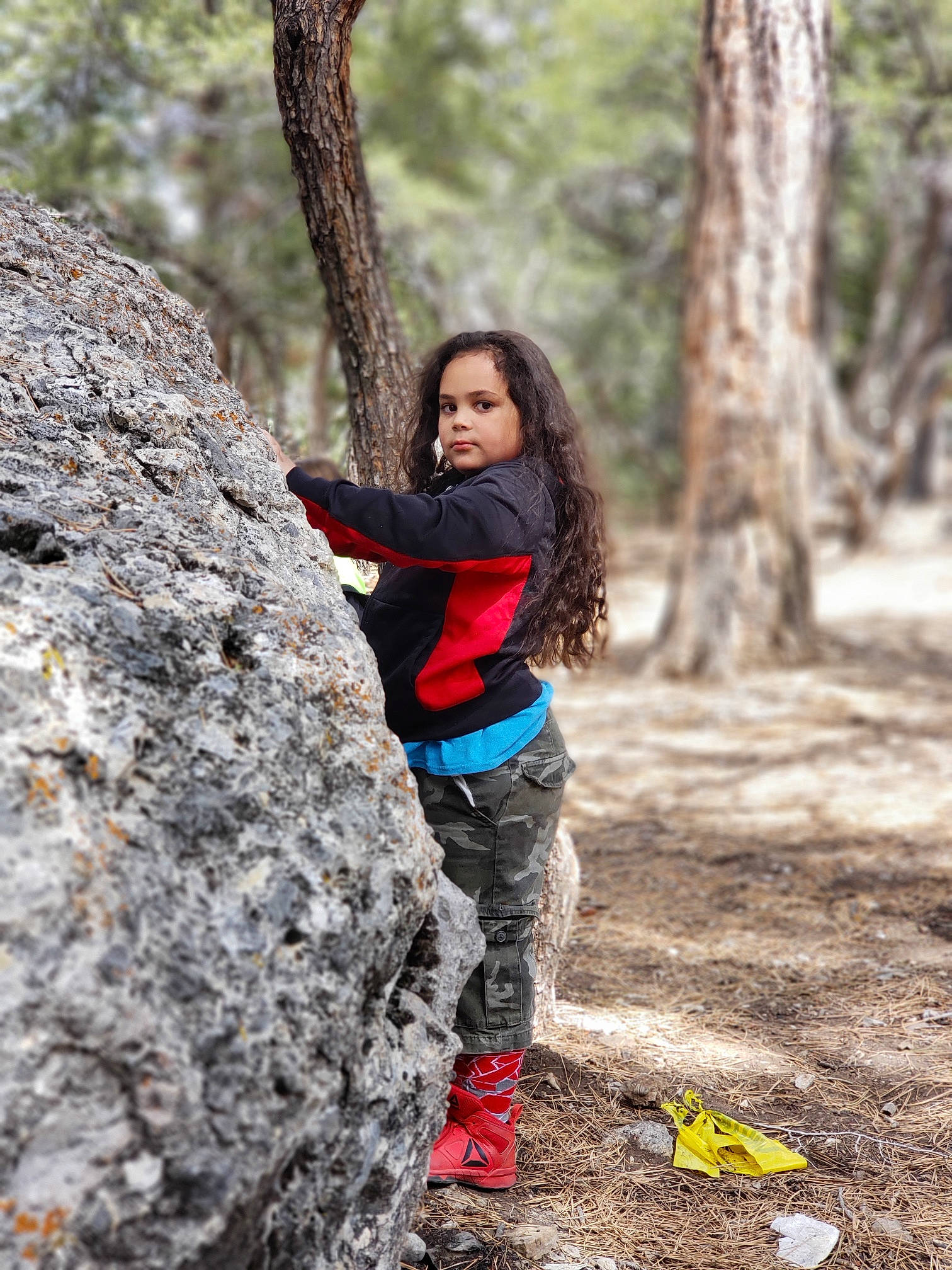 Riot is registered to the contest to win money with this photo: adventure, autumn, forest, fun, old_growth_forest, people_in_nature, person, photography, plant, recreation, rock, state_park, tree, trunk, woodland