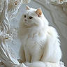 Coco joined the competition — help win amazing prizes! artistic, calm, cat, closeup, decorative, detailed, elegant, feline, flower, fluffy_cat, indoor, ornate, pet, portrait, sculpture, serene, sitting, soft_lighting, white_cat, white_flower