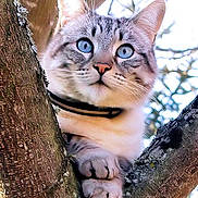 Yoshi a rejoint le concours — aidez-le/la à gagner de superbes lots !