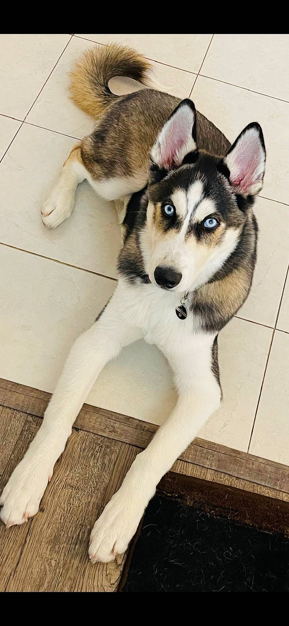 Diesel