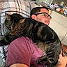 Shrimp is registered to the contest to win money with this photo: man, cat, glasses, plaid_blanket, indoor, tabby_cat, feline, casual_clothing, kitchen_counter, papers, relaxing, resting, pet, domestic, comfort, human, animal, close_up, brown_tabby, facial_hair