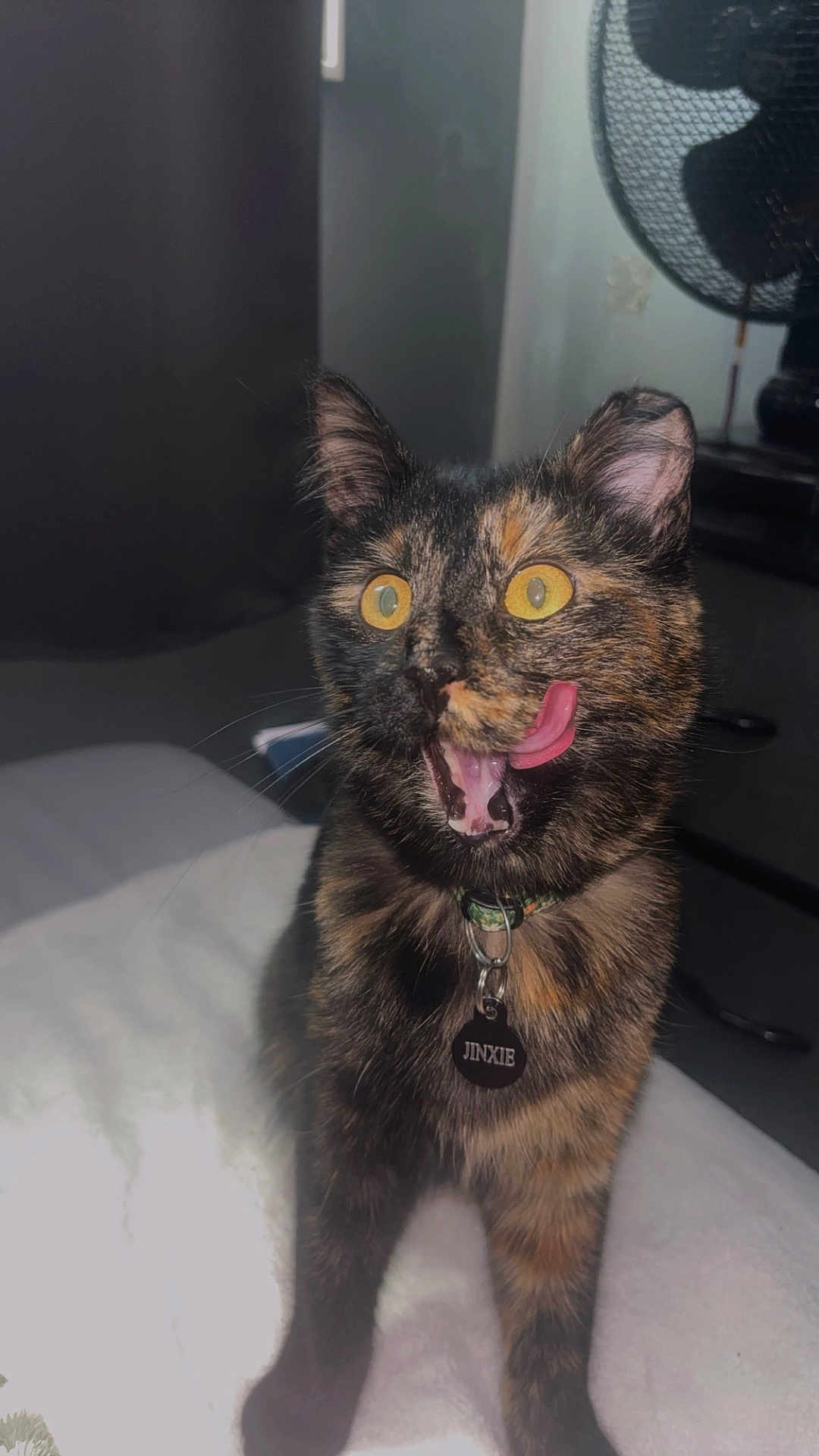 Jinxie