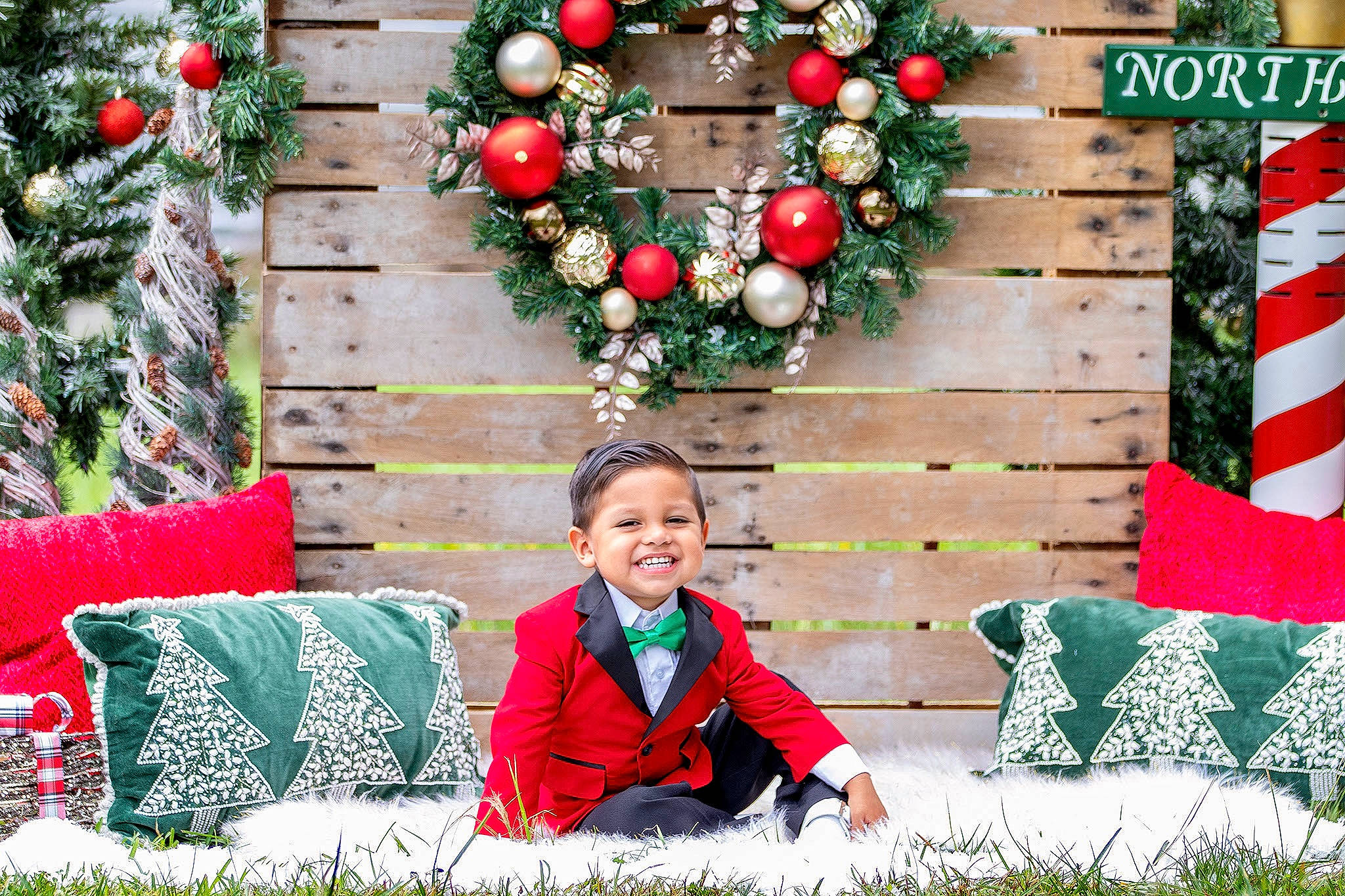 Armani joined the competition — help win amazing prizes! christmas_decoration, christmas_ornament, comfort, decoration, event, grass, green, happy, holiday, holiday_ornament, joy, leaf, leisure, ornament, people_in_nature, person, photograph, plant, red, smile