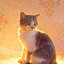 cat, painting, green_eyes, sunlight, warm_lighting, ornate_background, fur, sitting, vintage_style, artistic, soft_texture, portrait, domestic_cat, animal, cozy, indoor, decorative, calm, pet, feline