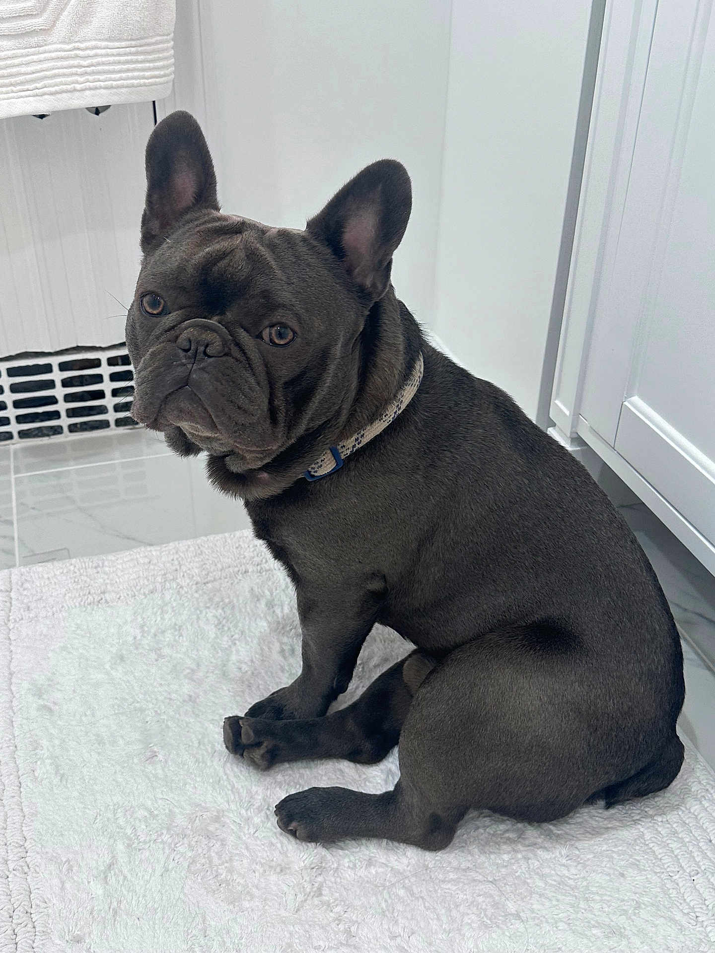 Mochi