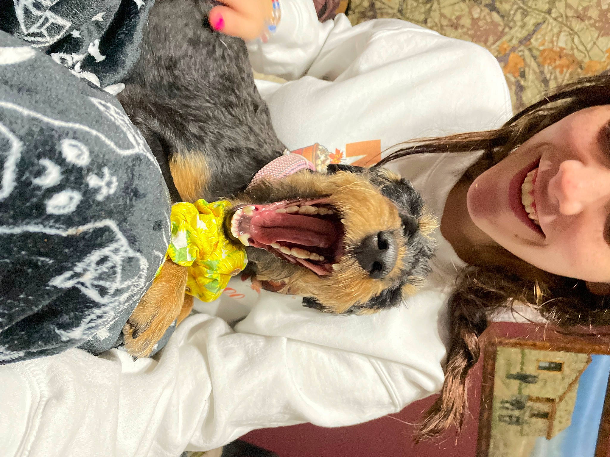 Bethany joined the competition — help win amazing prizes! canidae, companion_dog, dog_breed, ear, eyewear, felidae, fur, hair_coloring, happy, smile, sporting_group, sunglasses, tree, vertebrate